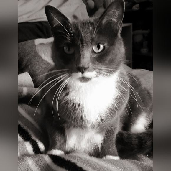 Meet your Posher, MaryAnn - Picture 11 of 13